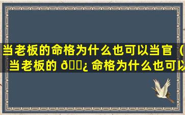 当老板的命格为什么也可以当官（当老板的 🌿 命格为什么也可以当官 🐱 呢）